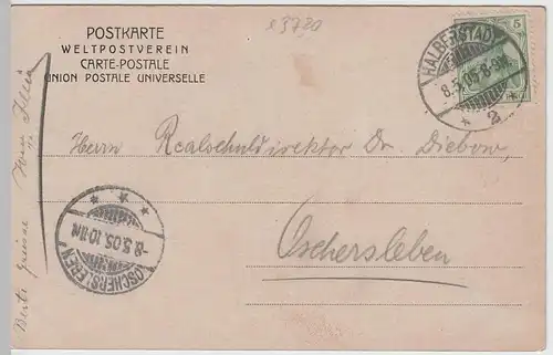 (64797) AK Blankenburg, Harz, Burg Regenstein 1905