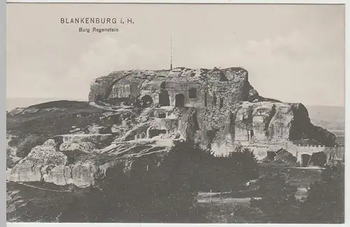 (64794) AK Blankenburg, Harz, Burg Regenstein, um 1907