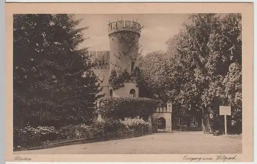(64693) AK Potsdam, Eingang zum Wildpark, vor 1945