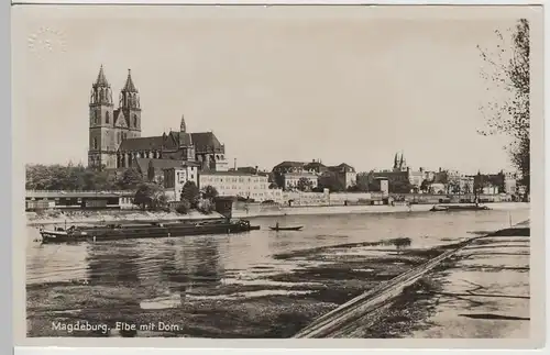 (64578) Foto AK Magdeburg, Elbe mit Dom, Lastkähne, vor 1945