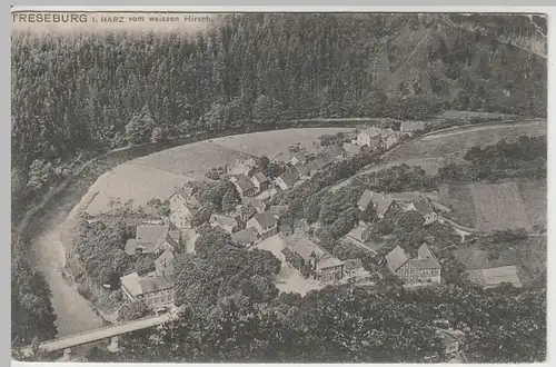 (64537) AK Treseburg, Harz, Panorama, Blick vom Weißen Hirsch 1908