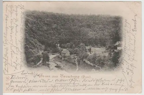 (64533) AK Gruß aus Treseburg, Harz 1898