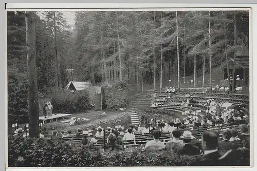 (64510) AK Bad Elster, Naturtheater an der Waldquelle 1940er