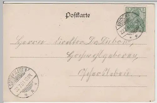 (64489) AK Brocken, Harz, Brockenhotel, Aussichtsturm 1901