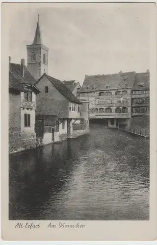 (64466) AK Alt-Erfurt, am Dämmchen, Ägidienkirche, vor 1945