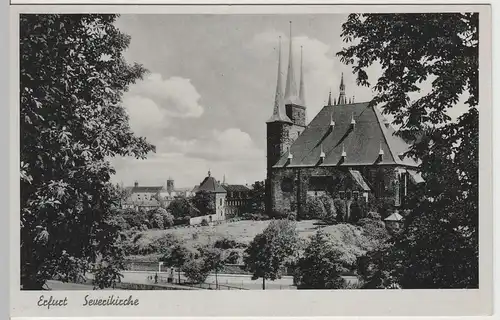 (64457) AK Erfurt, Severikirche, vor 1945