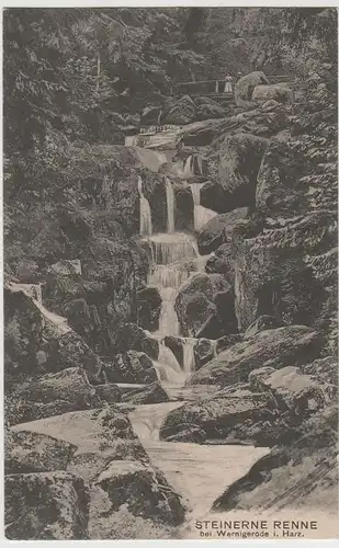 (64445) AK Steinerne Renne, Harz 1924