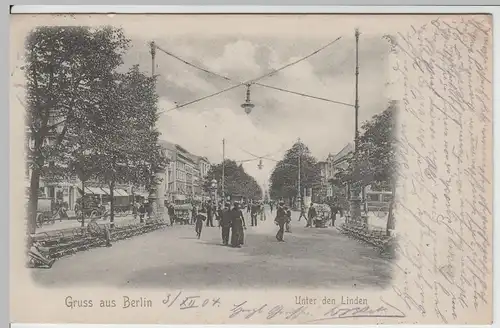 (64291) AK Gruss aus Berlin, Unter den Linden 1904