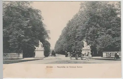 (64000) AK Dresden, Hauptallee im Großen Garten, 1916