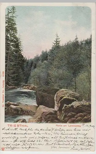 (63987) AK Triebthal, Triebtal, Partie am Loreleysteg, 1903