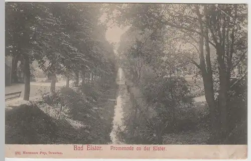 (63961) AK Bad Elster, Promenade an der Elster, vor 1920