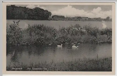 (63679) AK Barmstedt, Enten am Rantzauer See