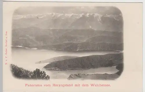 (63316) AK Walchensee, Herzogstand, bis um 1905