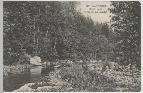 (62979) AK Schwarzburg, Partie im Schwarzatal 1913