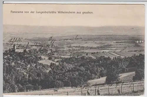 (62388) AK Wilhelmsheim, Panorama von der Lungenheilstätte gesehen 1909