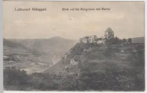 (62344) AK Nideggen, Blick auf die Burgruine mit Rurtal, 1910