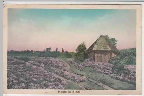 (62245) AK Heide in Bloei, vor 1945