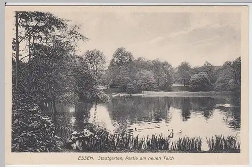 (61737) AK Essen, Stadtgarten, Partie am neuen Teich vor 1945