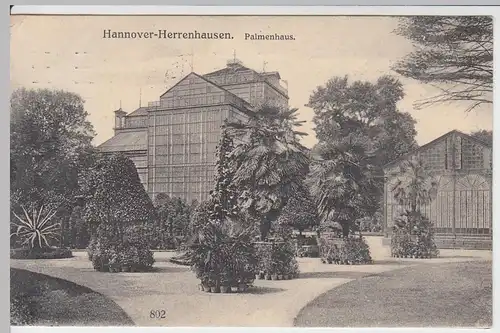(61134) AK Hannover, Herrenhausen, Palmenhaus 1912