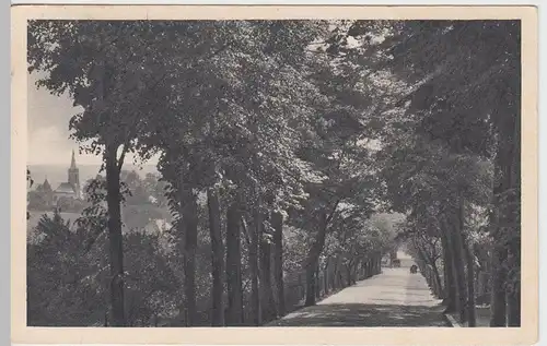 (61032) AK Berggießhübel, Allee 1931