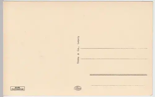 (60838) Foto AK Nordhausen, Schwanenteich im Stadtpark, 1927