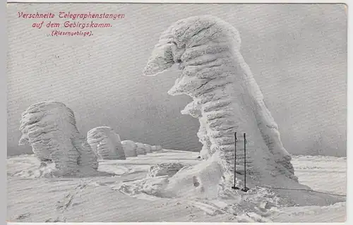 (60567) AK Riesengebirge, verschneite Telegrafenstangen a.d. Gebirgskamm
