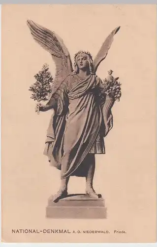 (54773) AK Nationaldenkmal a.d. Niederwald, Relief Rhein u. Mosel um 1906