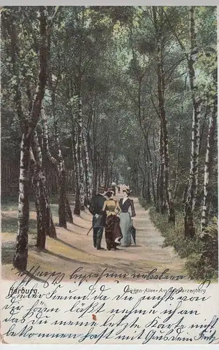 (54267) AK Harburg / Elbe, Birkenallee am Schwarzenberg 1906