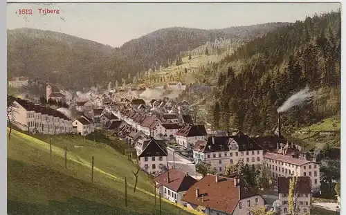 (60142) AK Triberg im Schwarzwald, Gesamtansicht 1925