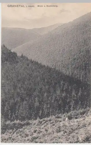 (59918) AK Granetal im Harz, Blick vom Bocksberg 1908