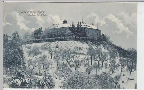 (59915) AK Blankenburg im Harz, Schloss im Winter 1908