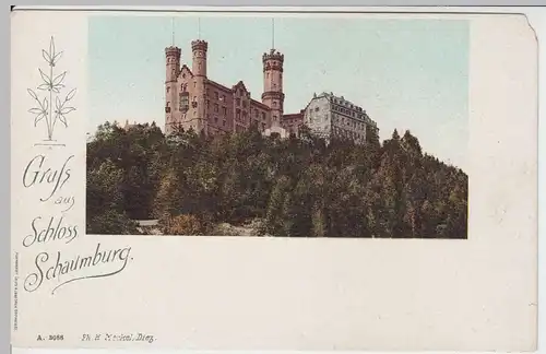 (59420) AK Gruss aus Schloss Schaumburg, vor 1905