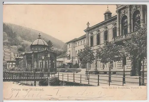 (59327) AK Gruss aus Wildbad 1898