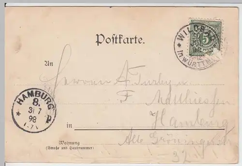 (59327) AK Gruss aus Wildbad 1898