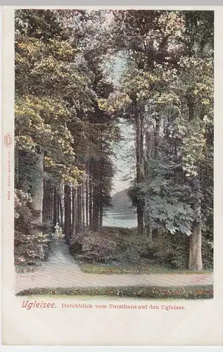 (59314) AK Ukleisee bei Eutin, Blick v. Forsthaus, vor 1905