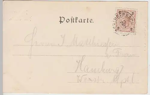 (59301) AK Dürrensee und Monte Cristallo, 1899