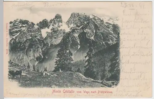 (59298) AK Monte Cristallo vom Wege nach Plätzwiesen, 1899