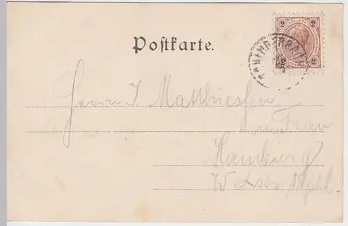 (59298) AK Monte Cristallo vom Wege nach Plätzwiesen, 1899