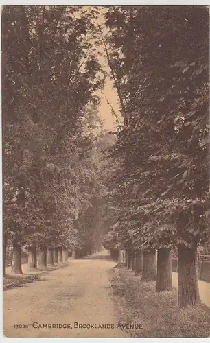 (59269) AK Cambridge, Brooklands Avenue, vor 1945