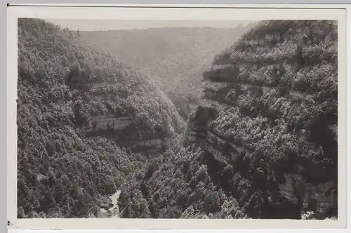 (59100) Foto AK Combe de Nouailles, La Loue entre sa source et Mouthier