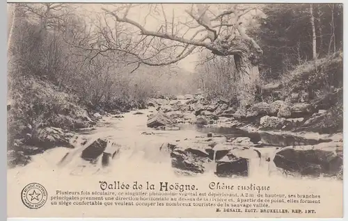 (59092) AK Vallée de la Hoegne, Chene rustique, vor 1945