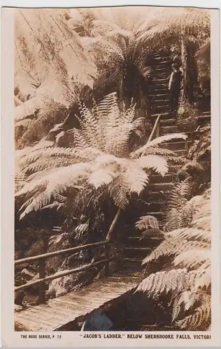 (58558) Foto AK Victoria (Aus), Jacob's Ladder below Sherbrooke Falls 1931