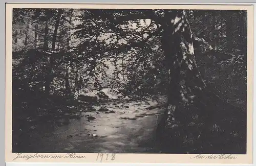 (58430) AK Kuranstalt Jungborn im Harz, An der Ecker, 1928