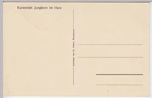 (58430) AK Kuranstalt Jungborn im Harz, An der Ecker, 1928