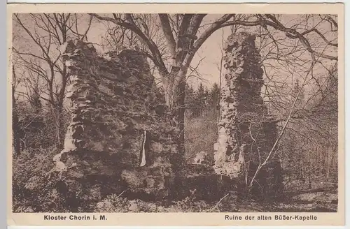 (57999) AK Kloster Chorin, Ruine Büßerkapelle, um 1927