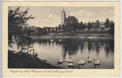 (57997) AK Magdeburg, Adolf Mittag See, Ausstellungsgelände 1936