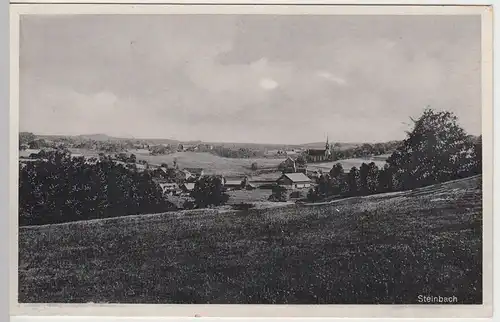 (57584) AK Steinbach, Panorama, Verlag Schwalbach, Ts., vor 1945