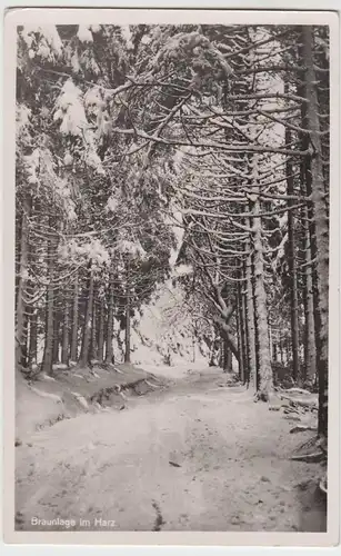 (57455) Foto AK Braunlage, Harz, Winterwald, vor 1945