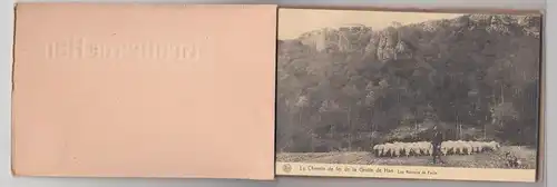 (57120) AK Rochefort, Grotte de Han, Leporello aus 20 Karten, vor 1945