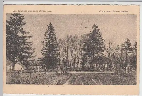 (57011) AK Sources Fraiches, Cokaifagne Sart-lez-Spa 1911